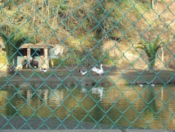 veio residence resort