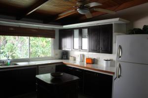 the falls resort at manuel antonio