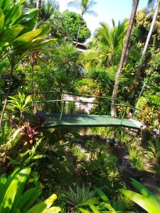 the falls resort at manuel antonio