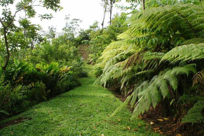 arenal waterfall lodge