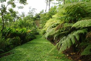 arenal waterfall lodge