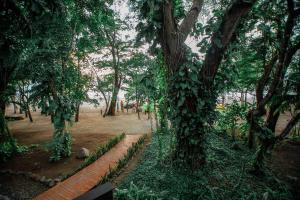Hotel Bosque Del Mar, Playa Hermosa,Guanacaste>>Coco,4 star