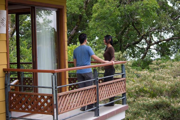 hotel ficus monteverde