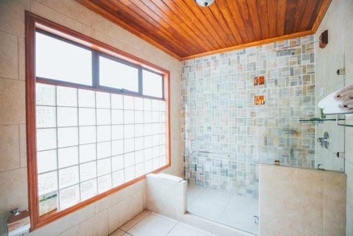 hotel ficus monteverde