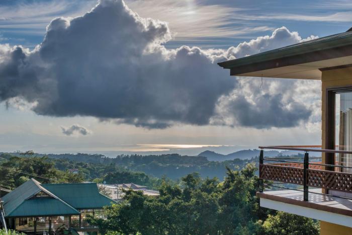 hotel ficus monteverde