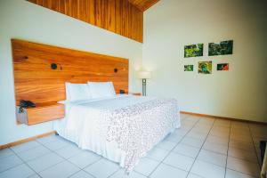 hotel ficus monteverde