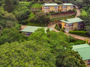 hotel ficus monteverde