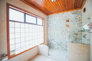 hotel ficus monteverde