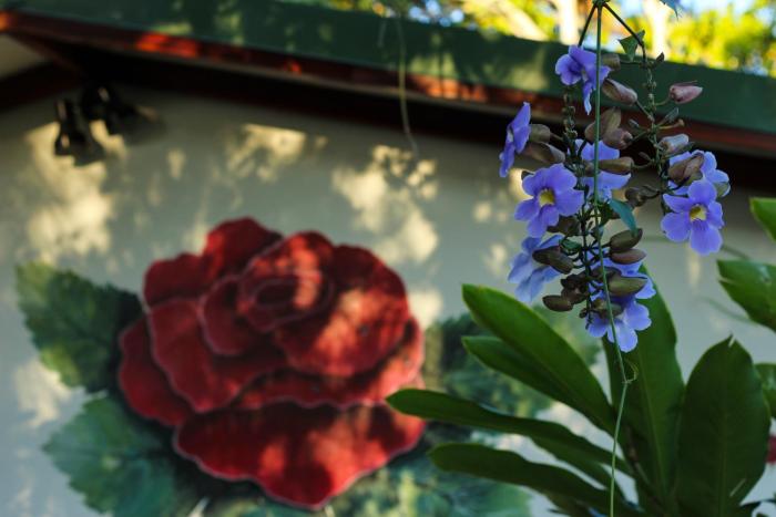 hotel la rosa de america