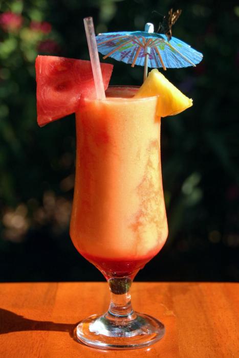 hotel la rosa de america