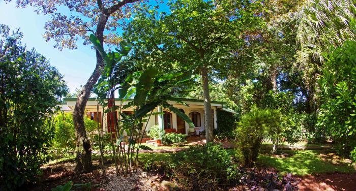 hotel la rosa de america