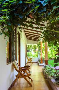 hotel la rosa de america