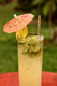 hotel la rosa de america