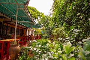 hotel la rosa de america