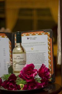 hotel la rosa de america