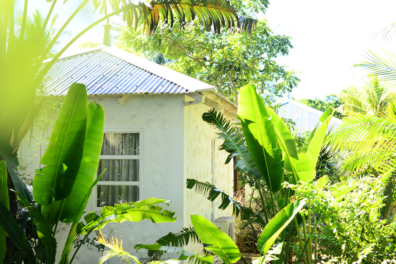 the ravenala attitude