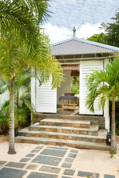 the ravenala attitude