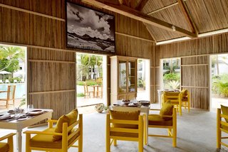 the ravenala attitude