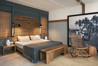 the ravenala attitude