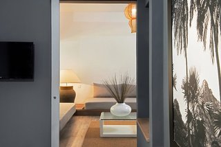 the ravenala attitude