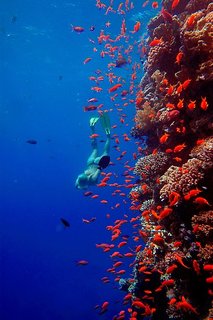 hurghada