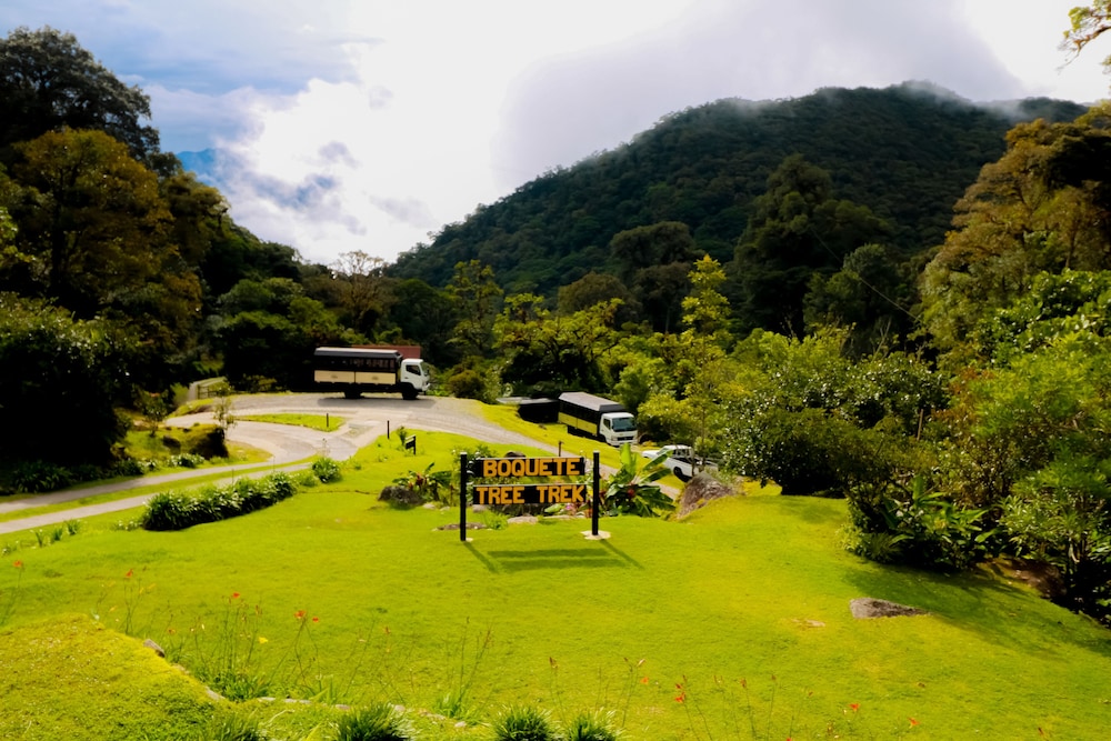 tree trek boquete adventure park