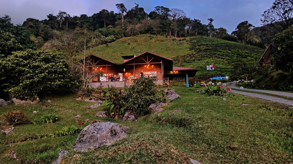 tree trek boquete adventure park