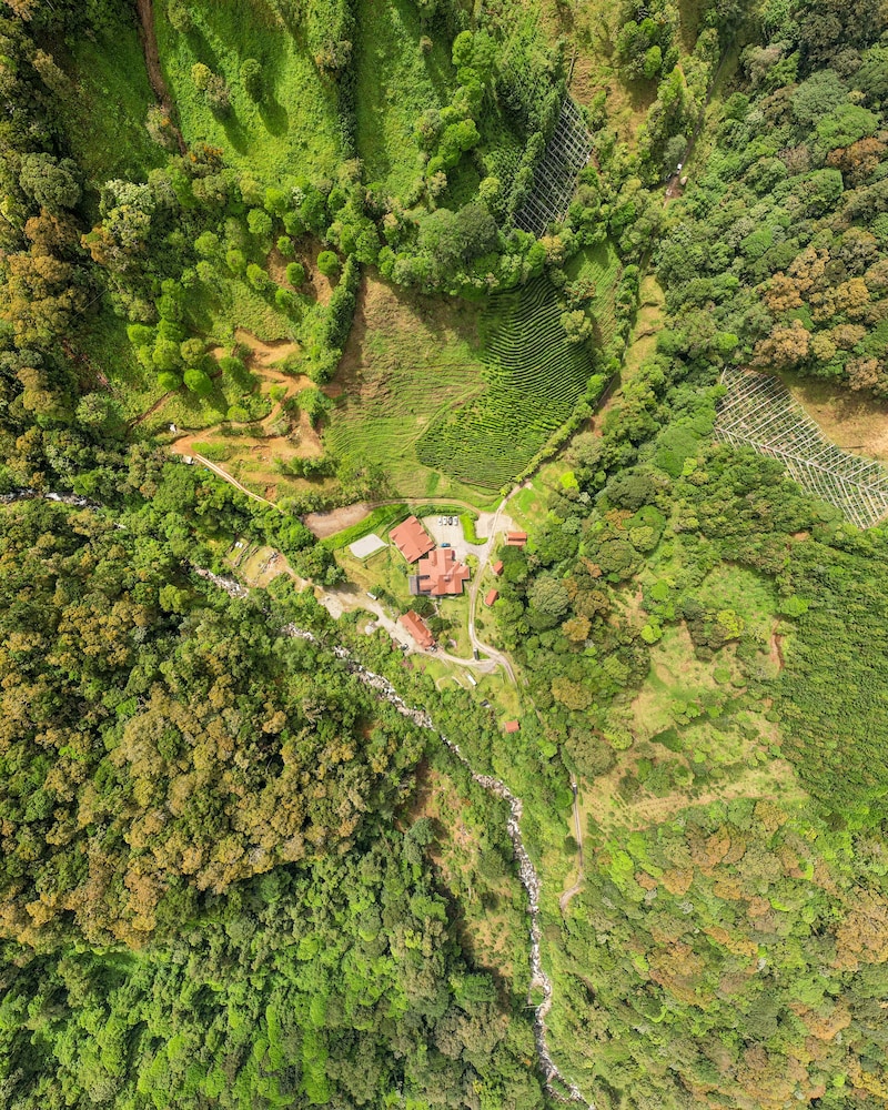 tree trek boquete adventure park