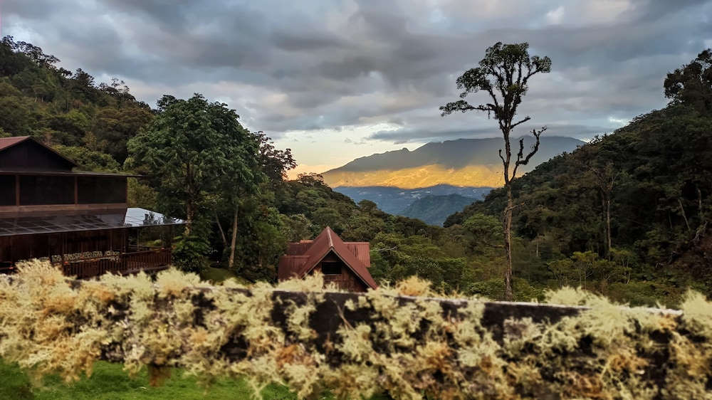 tree trek boquete adventure park