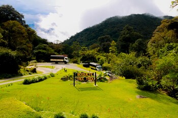 tree trek boquete adventure park