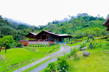 tree trek boquete adventure park