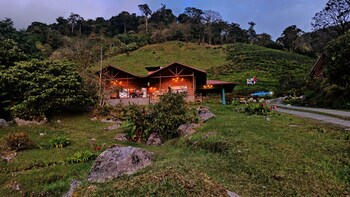 tree trek boquete adventure park