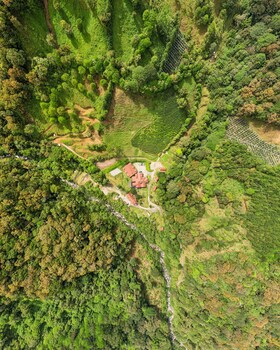 tree trek boquete adventure park