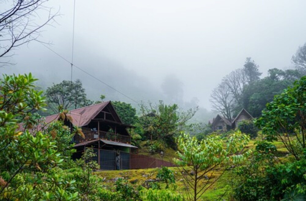 tree trek boquete adventure park