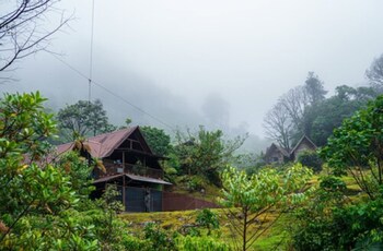 tree trek boquete adventure park