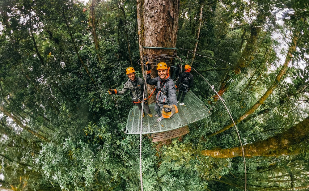 tree trek boquete adventure park