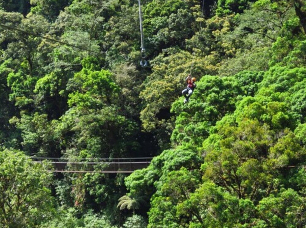 tree trek boquete adventure park