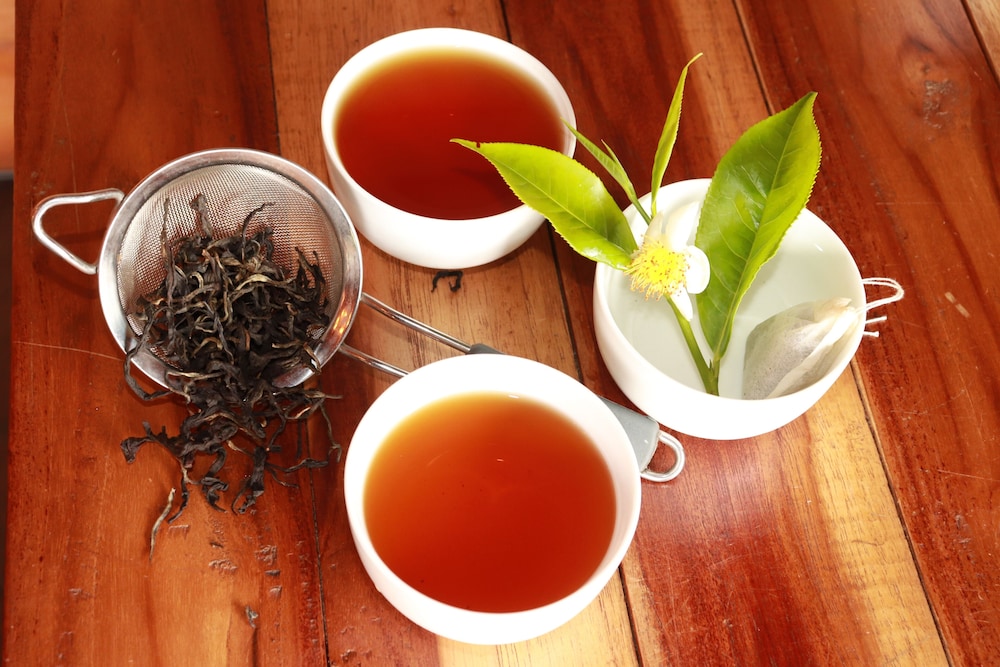 tree trek boquete adventure park