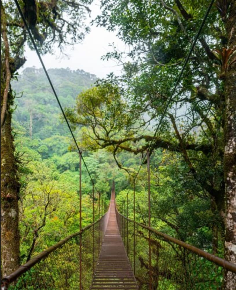 tree trek boquete adventure park