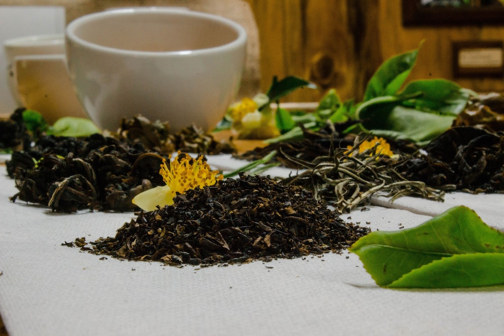 tree trek boquete adventure park