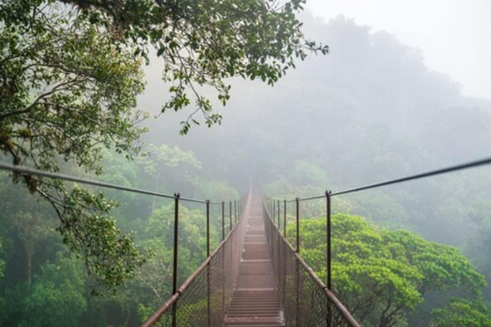 tree trek boquete adventure park