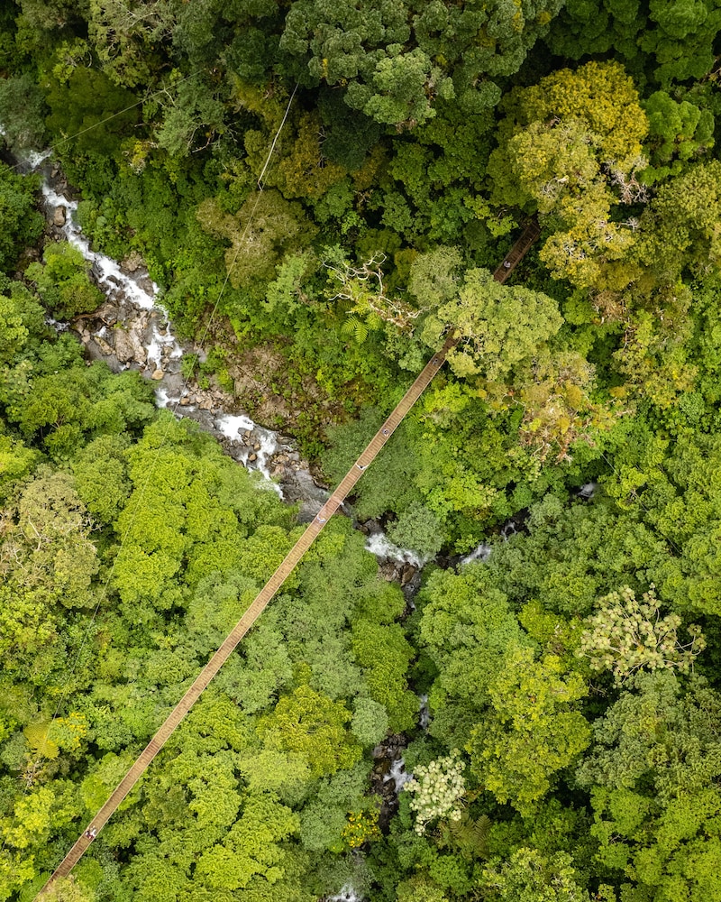 tree trek boquete adventure park