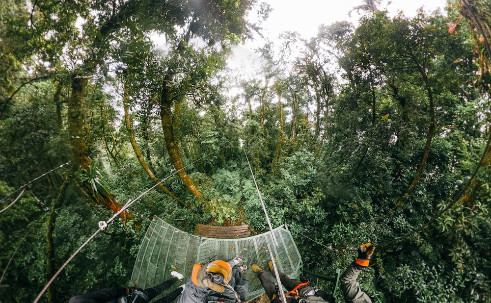 tree trek boquete adventure park