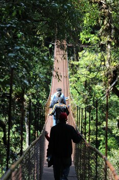 Tree Trek Boquete Adventure Park,Chiriqui>>Boquete,3 star