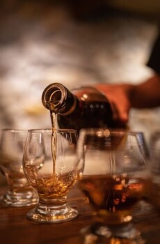 tree trek boquete adventure park