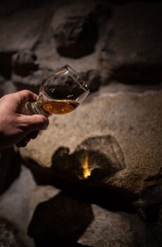 tree trek boquete adventure park