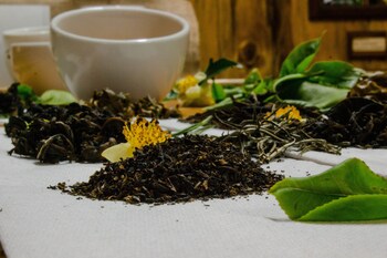 tree trek boquete adventure park