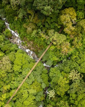 tree trek boquete adventure park