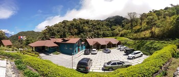 tree trek boquete adventure park