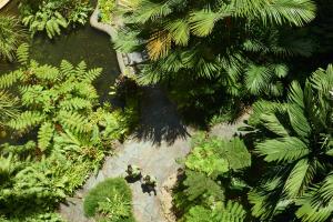 Doubletree By Hilton Hotel Cairns,Kuranda>>Cairns,5 star